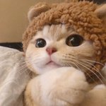 나는 너의 영원한 <b>형제</b>야~ 다음 가사 아는 사람 있냐