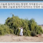 구절강해{막4 30 ~ 32(2편) 유튜브 교회 #활공교회}