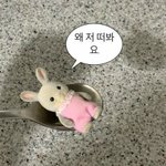 미노이 요리조리에 <b>코쿤</b> 나오네