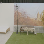 김태형 가방 <b>영상</b> 떴는데 김석진