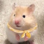 [드루와] <b>야야</b> 03들