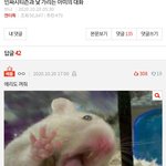 나 엓엘인디 시티즌하고 아미가 우리