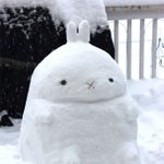 ㅇㄴ 너네도 남사친 좋아했던 적 있냐 나 지금