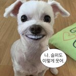 [댓글부탁해] 제발 잘생긴 국힙래퍼 추천해줘 제발