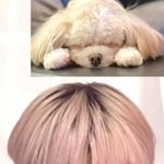 [ㅈㄱㄴ] 대학생 새내기 용돈 얼마받음?