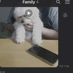 [ㅎㅎ] 봄이 어제 한살돼서 가족 다 <b>신남</b> 단톡봐