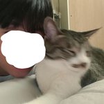 우리집 <b>고냥</b>이,,,