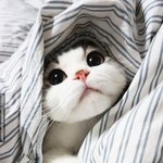<b>저기요</b>