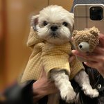 [더보이즈] 다<b>롱이</b> 개귀엽다…