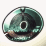 [진격의거인] ㅅㅍ) 오프닝에