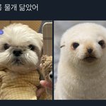 [더보이즈] 다<b>롱아</b> 왜케 귀엽냐 진짜