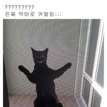 [드루와] 니네 주변에 민지가 많아 <b>서연</b>이가 많아