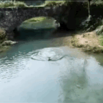 성과급 받았네요