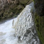 [군대] ㅅㄷ 물고기의 <b>도약</b>