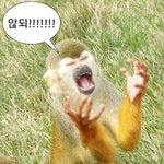 [NCT드림] <b>드리밍</b> 안무 비하인드 내놔