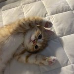 [19] 아니 얘들아 ㄱㅅ 큰애들만 들어와봐 ㅠㅠ