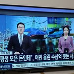[이것좀봐줘] 충남보령 100<b>억대</b> 돈사기 뉴스보셨어요??