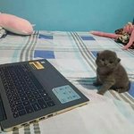 옾챗으로 진짜 많이 사귀드라