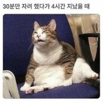 [19] 해본사람있어?