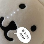 [댓글부탁해] MBTI별 문답좀