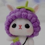 어떤 남돌의 <b>양모</b>펠트 실물 영접