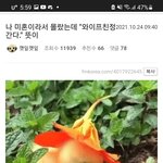 <b>갠적</b>으로 국민대애들 잘생긴애들 많은듯