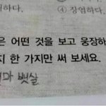 [댓글부탁해] 아 틱톡 망했으면 ㅈㅂ