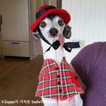 자꾸만 혀가 늘어지는 귀염둥이!