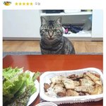 어느 동네 귀여운 <b>배민</b> 리뷰.jpg