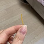 니들은 고양이 키우지<b>마라</b>