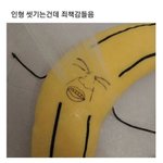 남동생 ㅈㄴ유니콘인듯