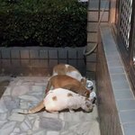 화장 첨에 어케 시작함?? <b>민망</b>혀