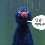 구냥 <b>양남</b>이나 보러 갈래…..
