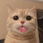 지금 사태랑 <b>잠재</b>적 가해자 취급이 동급이라는게 웃김