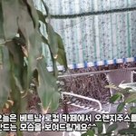커피숍 경력 10년차의 베트남 16세 베테랑 소녀...하이퐁 카페