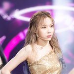 어딜 가던 <b>주목</b>받는 화려한 생김새