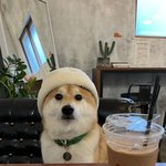 [댓글부탁해] 여자 검열 제발 그만<b>하자</b>