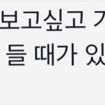 [드루와] 나 <b>저번</b>에 어디서 이 사진 봤는데