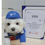 <b>아빠</b> <b>빽</b>으로 남매 대기업 입사, 오빤 1년만에 대리 진급