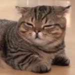 안 <b>만만</b>해보이는 법 좀 ㅈㅂ