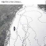 [댓글부탁해] 옾챗에서 호구 완전많이<b>잡음</b>