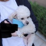 [더보이즈] 휴
