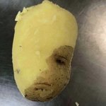 오늘 뚜레쥬르 면접본다