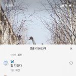 [TXT] ㅌㄷㅇㄱ 와다다 챌린지에 <b>몰랑</b>이공식계정 댓글남김ㅋㅋㅋ