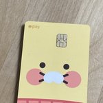 이 카드 대체 어케 쓰라는거임