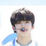 '까칠' 전혀 모를 마성의 <b>순둥이들</b>