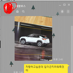 스물아홉에 차 뽑았는데 자랑할 곳이 없어요