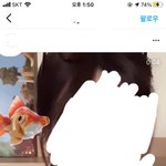 인스타 금붕어 <b>필터</b> 아는사람