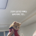 야 나 포카 <b>분철</b> 사기당함