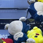 [드루와] 나 위<b>아랫니</b>가 제대로 안 닫혀있는데